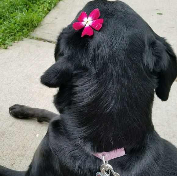 Meet your Posher, Maria - Picture 1 of 1